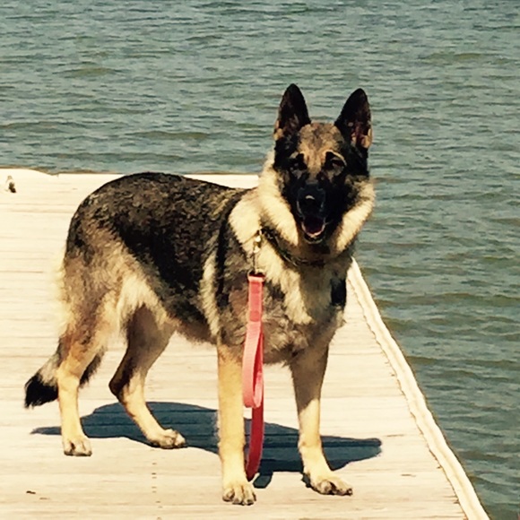 Meet your Posher, Georgina - Picture 2 of 2